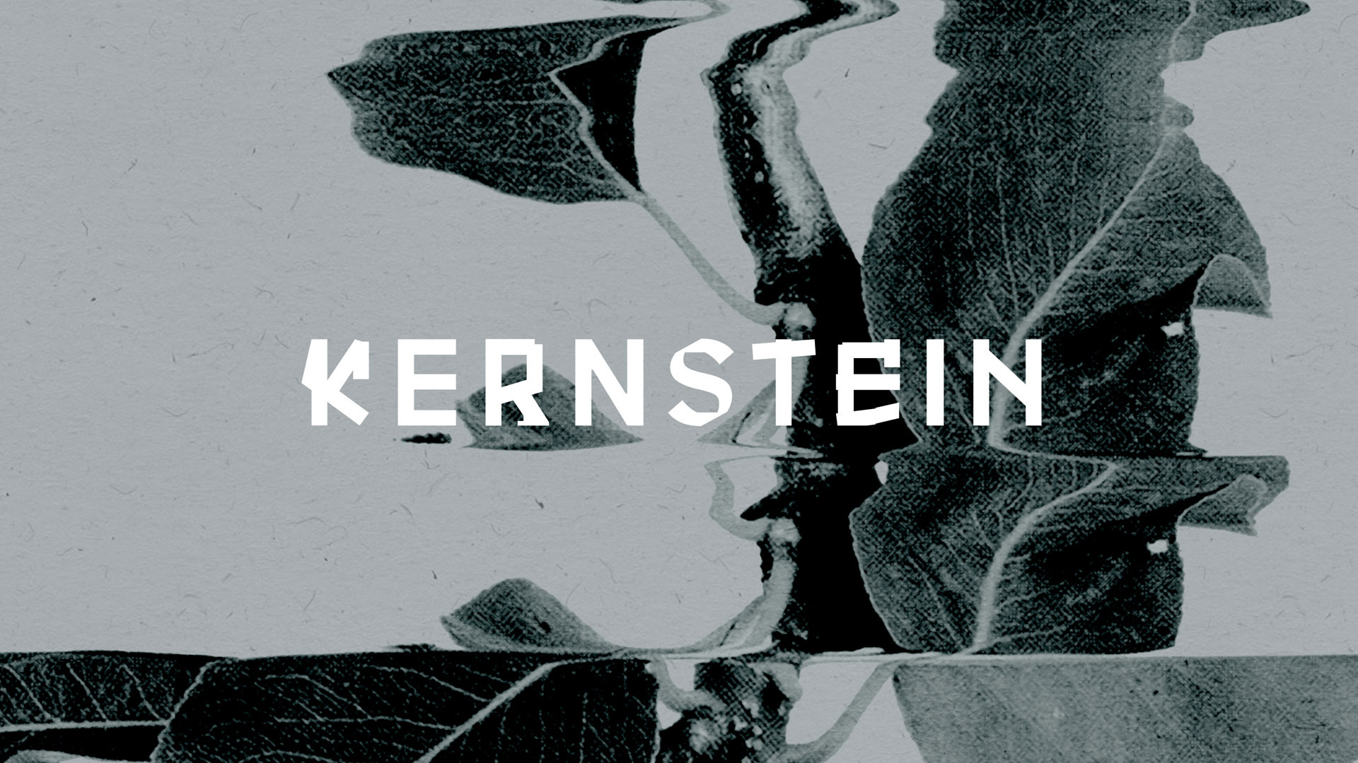 (c) Kernstein-schnaps.com